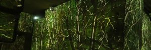 Les carrières de lumière aux Baux de Provence