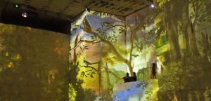 Les carrières de lumière aux Baux de Provence