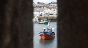 Le port de Concarneau vu depuis les remparts