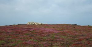 Vers les alignements mégalithiques de Lagatjar à côté de Camaret