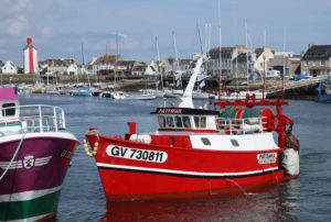 Le port du Guilvinec