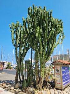 Port Vendres