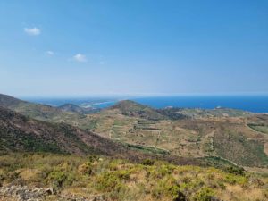 Panorama des hauts de Banyuls