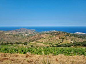 Panorama des hauts de Banyuls